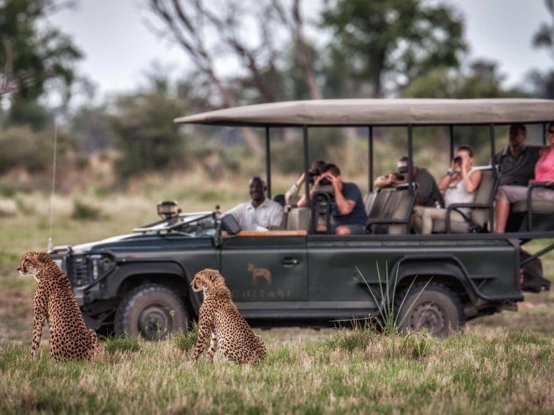 Chitabe Botswana and Cape Town